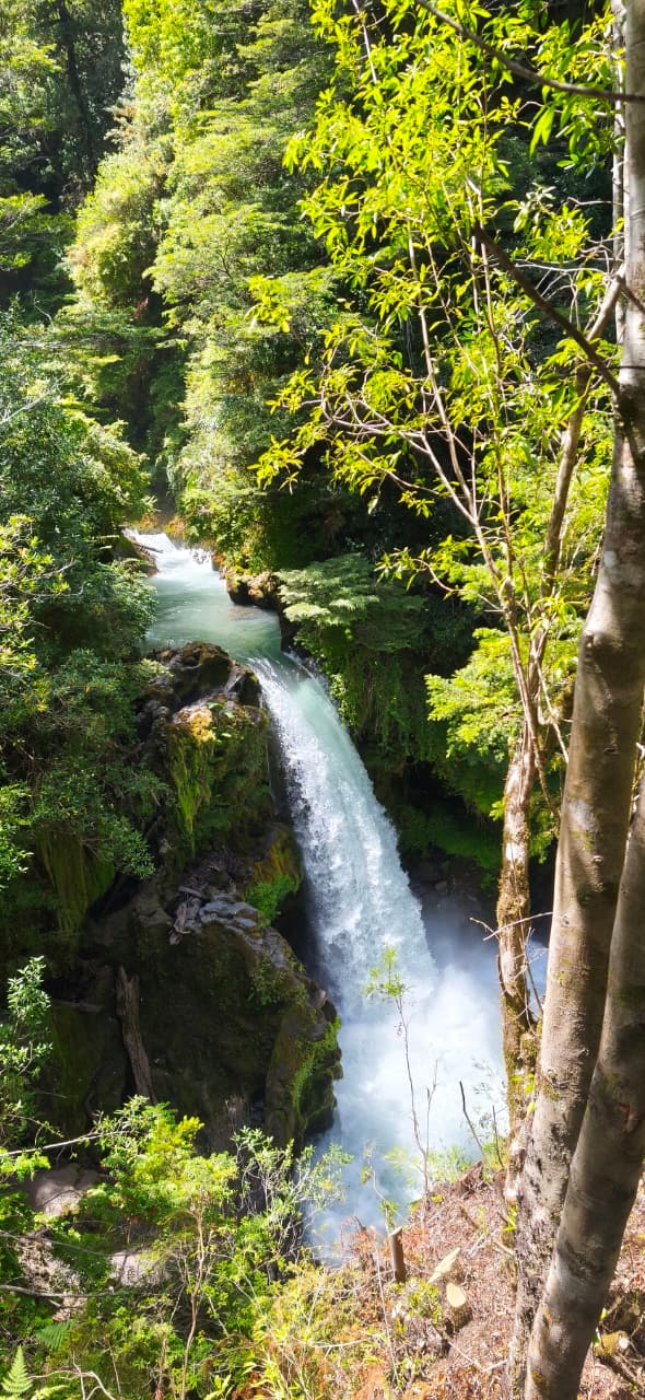 Vista del tour Cascadas y Bosque Nativo