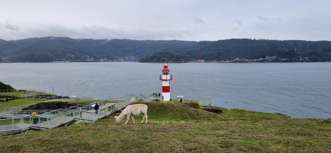 Vista del tour Valdivia entre Ríos y Costa